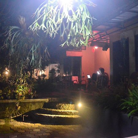 Banyu Homestay Banyuwangi  Buitenkant foto