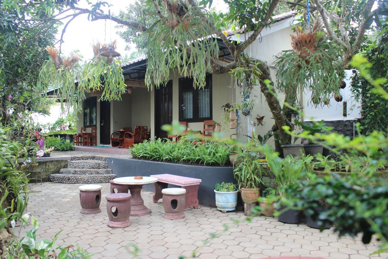Banyu Homestay Banyuwangi  Buitenkant foto