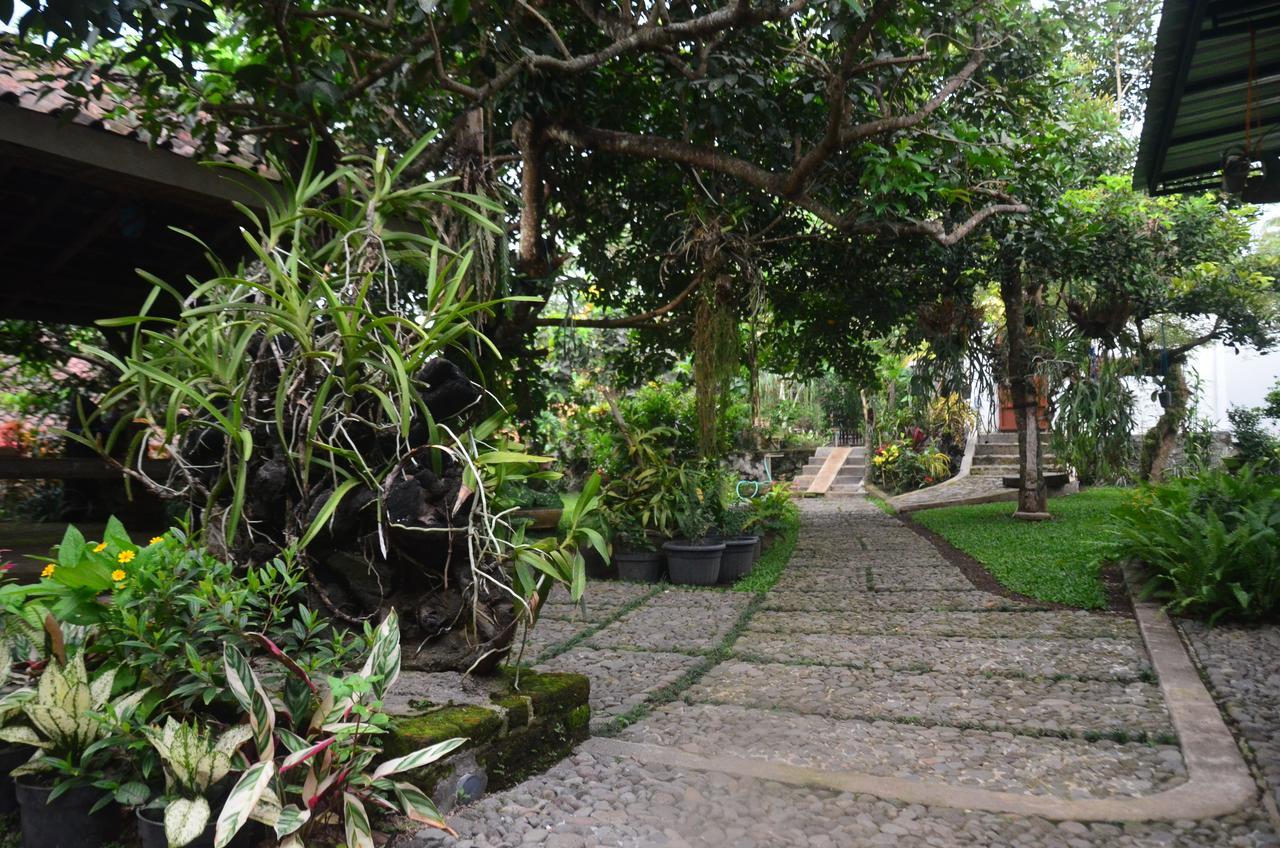 Banyu Homestay Banyuwangi  Buitenkant foto
