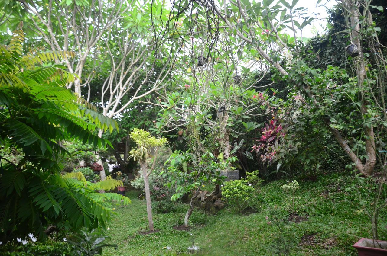 Banyu Homestay Banyuwangi  Buitenkant foto