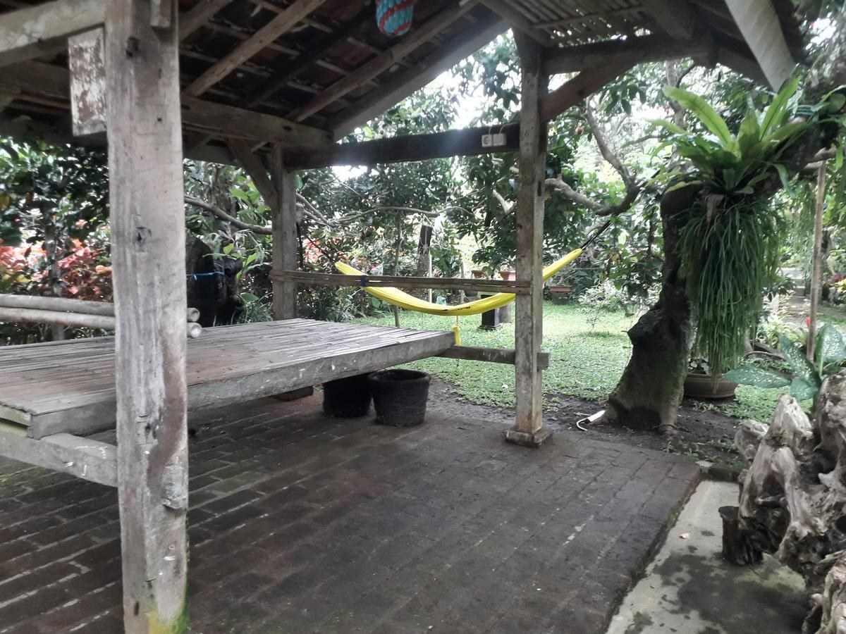 Banyu Homestay Banyuwangi  Buitenkant foto