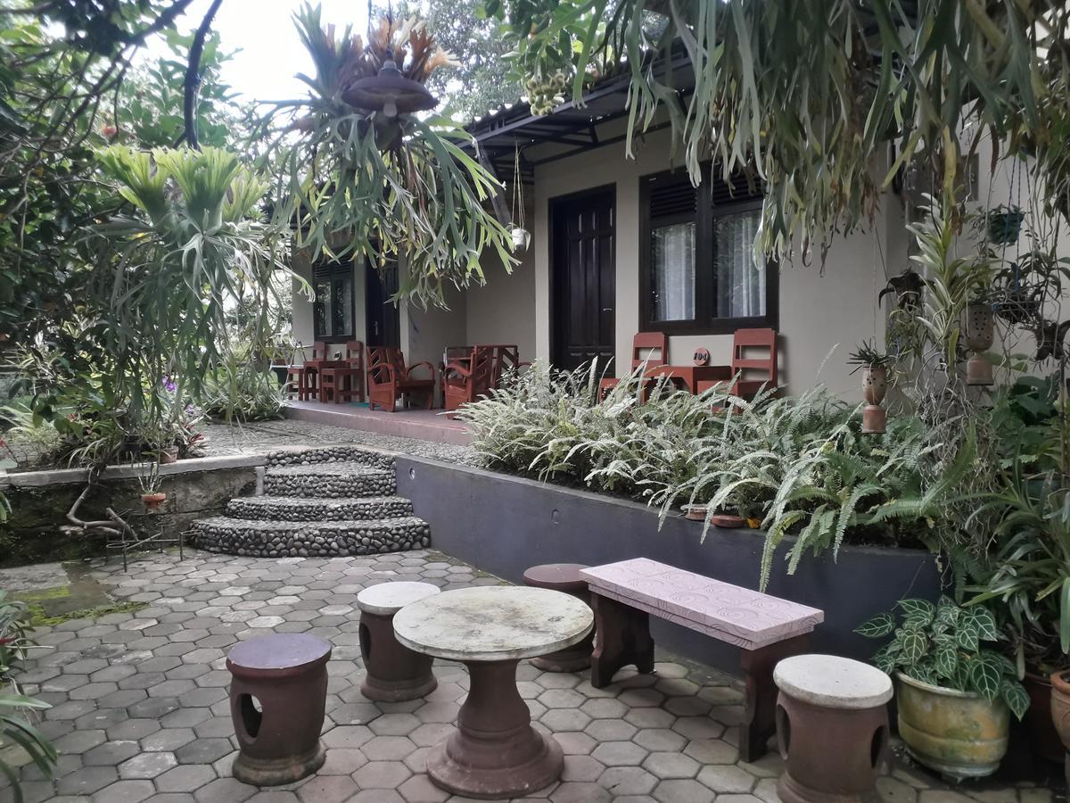 Banyu Homestay Banyuwangi  Buitenkant foto