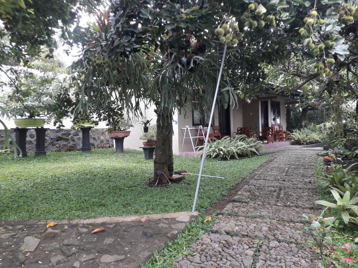 Banyu Homestay Banyuwangi  Buitenkant foto