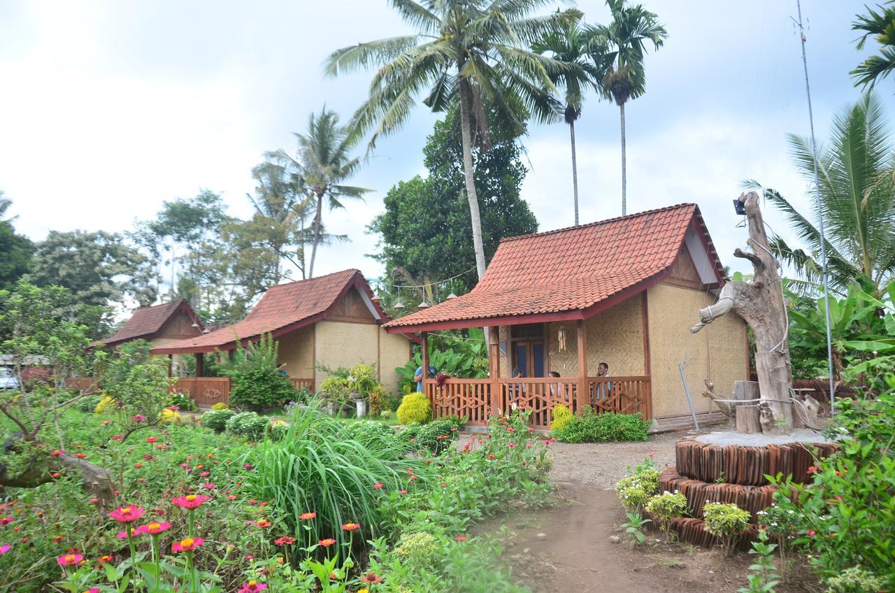 Banyu Homestay Banyuwangi  Buitenkant foto