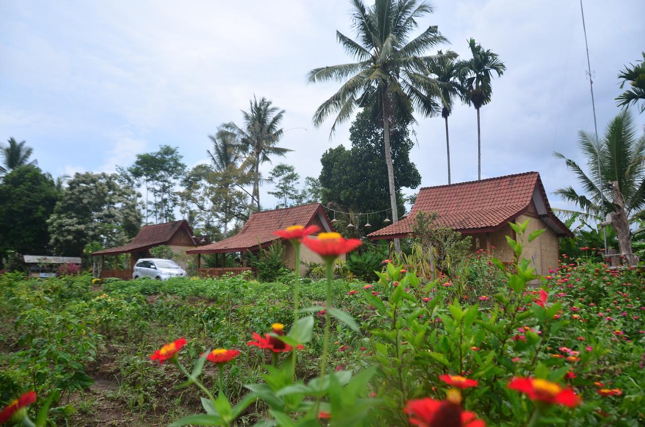 Banyu Homestay Banyuwangi  Buitenkant foto