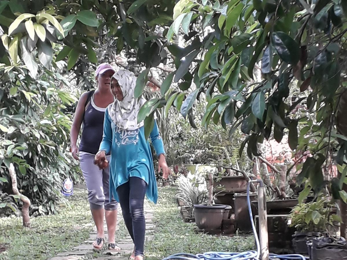 Banyu Homestay Banyuwangi  Buitenkant foto