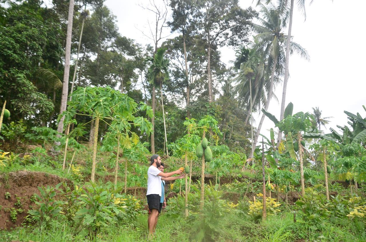 Banyu Homestay Banyuwangi  Buitenkant foto