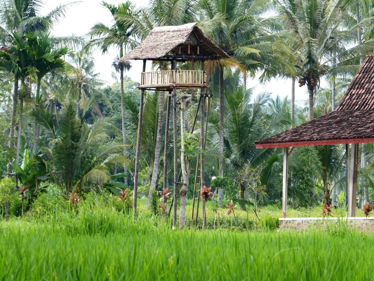 Banyu Homestay Banyuwangi  Buitenkant foto