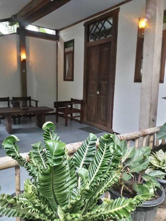 Banyu Homestay Banyuwangi  Buitenkant foto