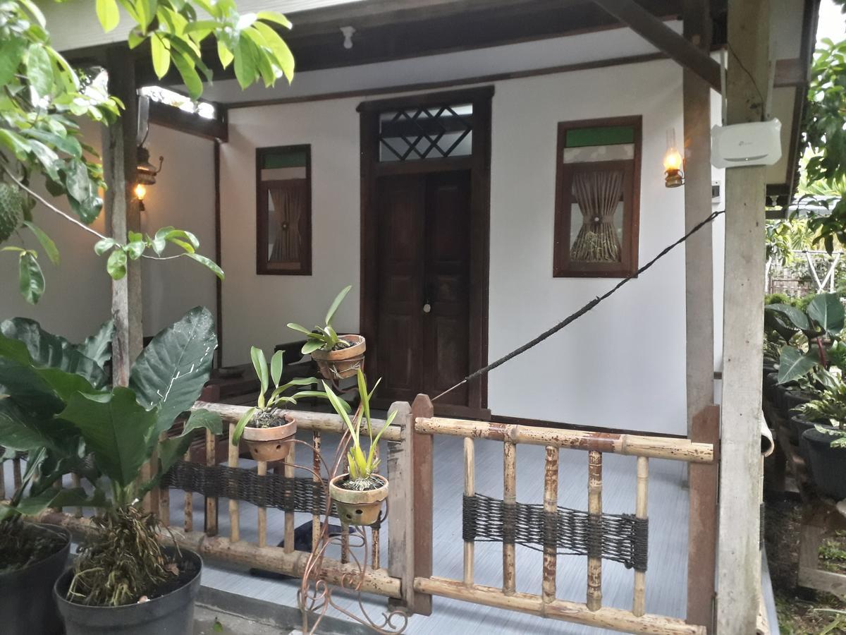 Banyu Homestay Banyuwangi  Buitenkant foto