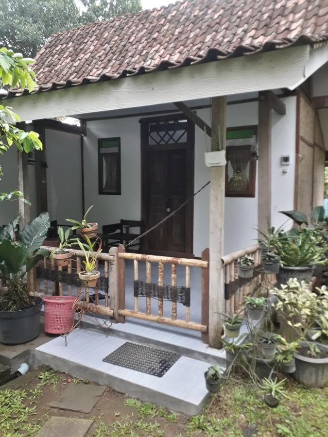 Banyu Homestay Banyuwangi  Buitenkant foto